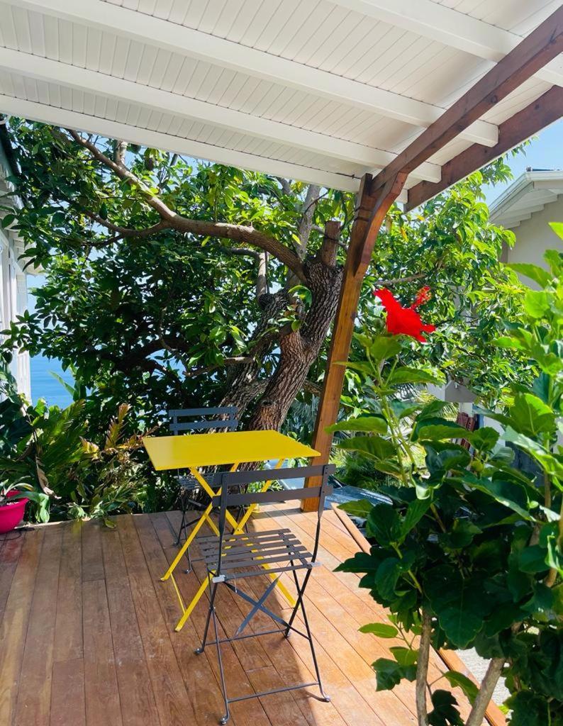 Studio Maracuja Villa ปวงต์-นัวร์ ห้อง รูปภาพ